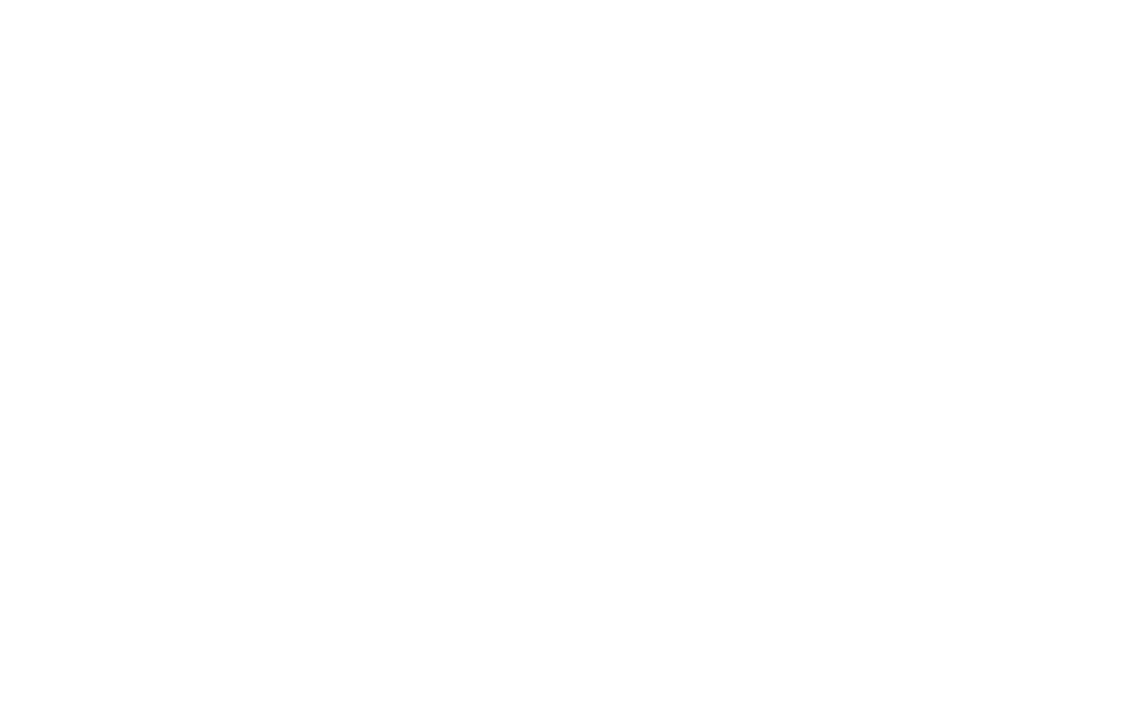 bosch_web_logo