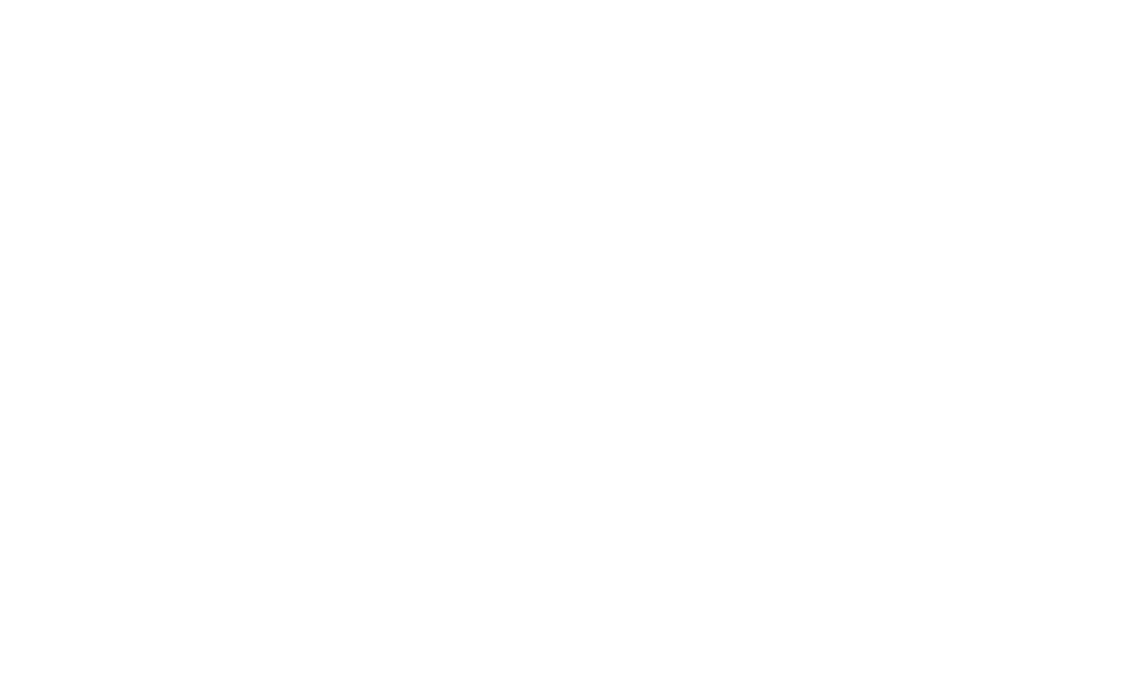schwanekamp_web_logo