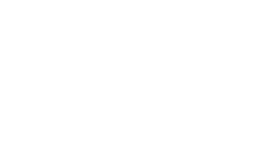 villeroy_web_logo